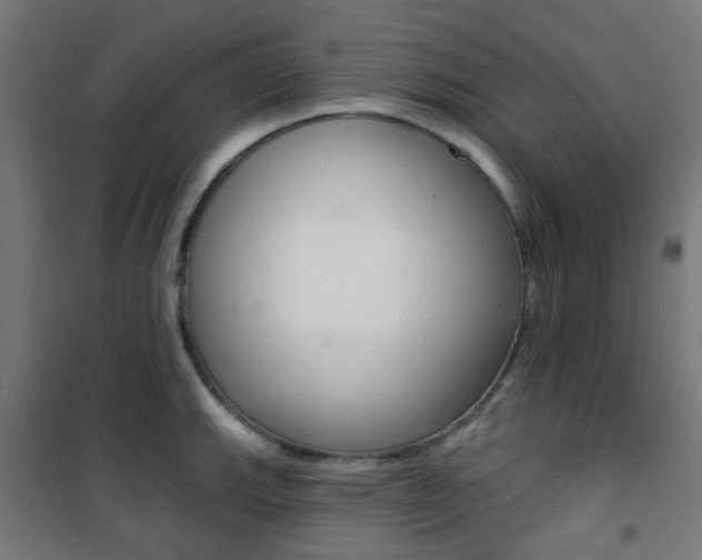 X0000101401143200807071023