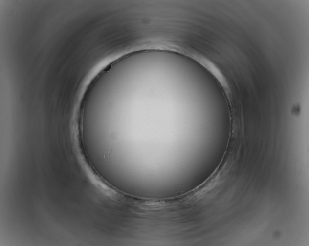 X0000101401144200807071023