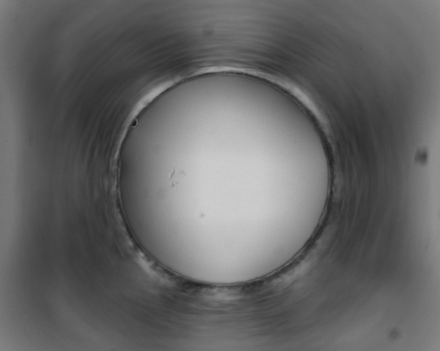 X0000101401145200807071023