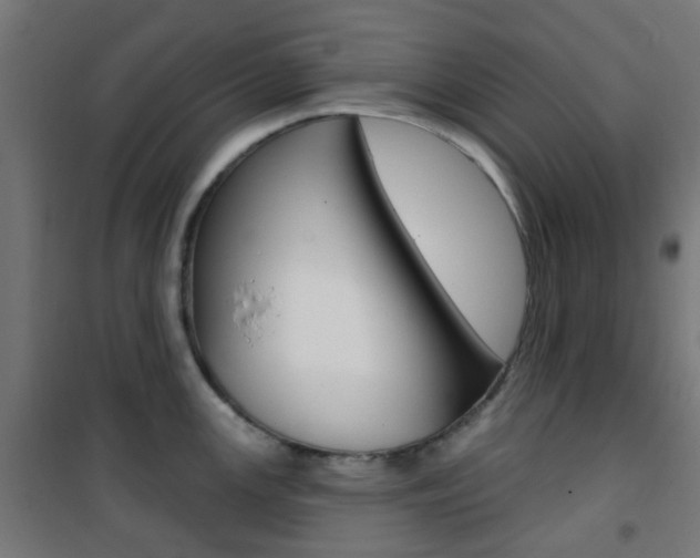 X0000101401147200807071023