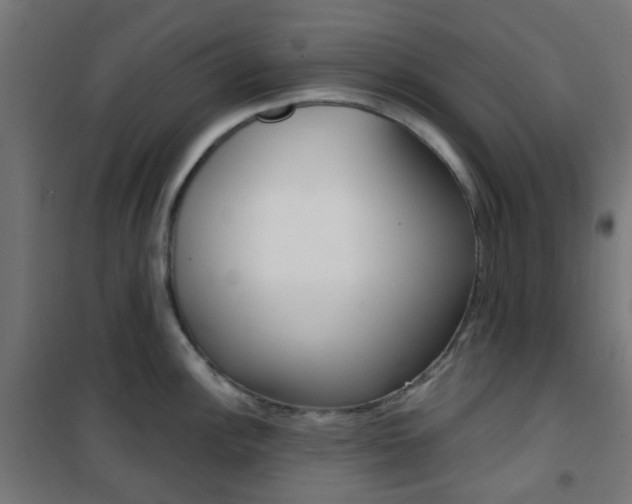 X0000101401148200807071023