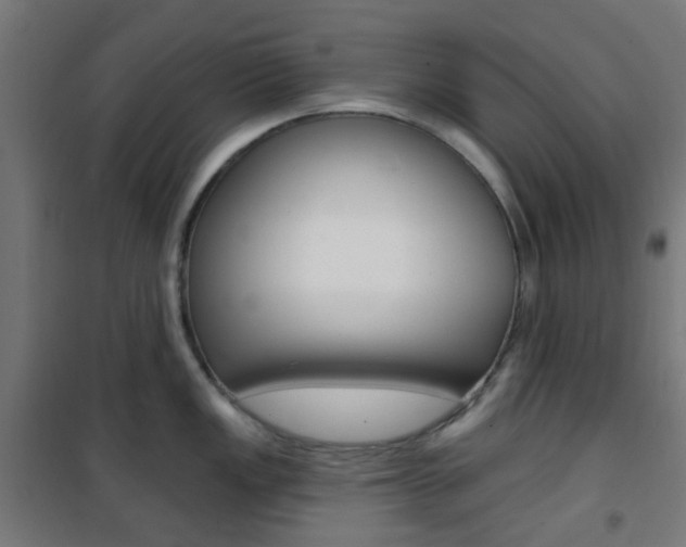 X0000101401149200807071023