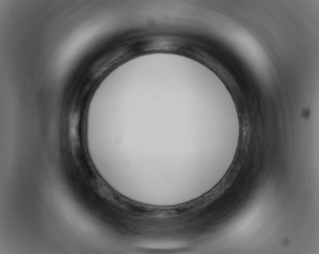 X0000101401150200807071023