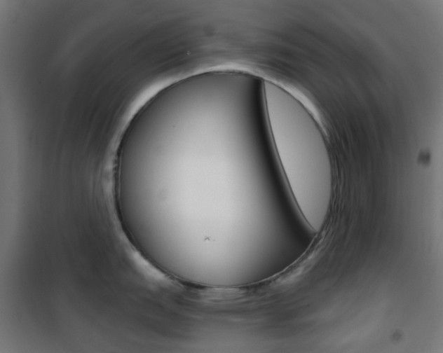 X0000101401151200807071023