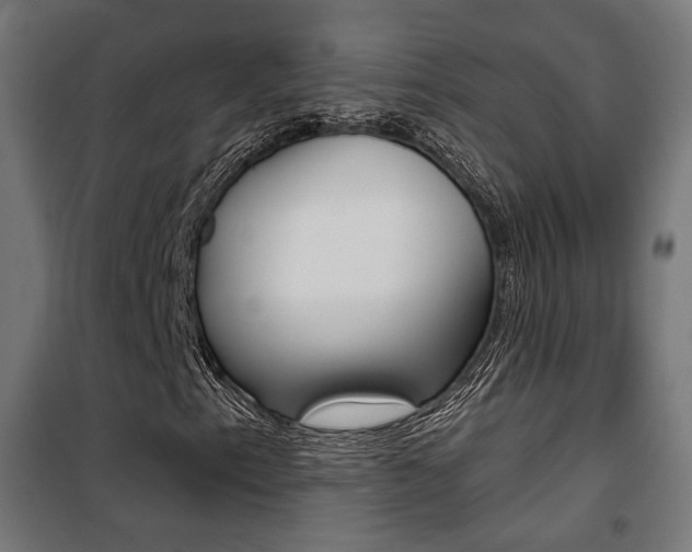 X0000101401153200807071023