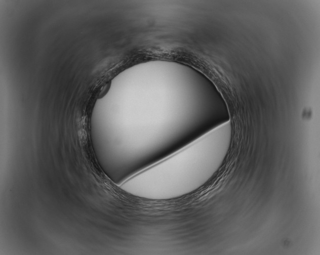 X0000101401156200807071022