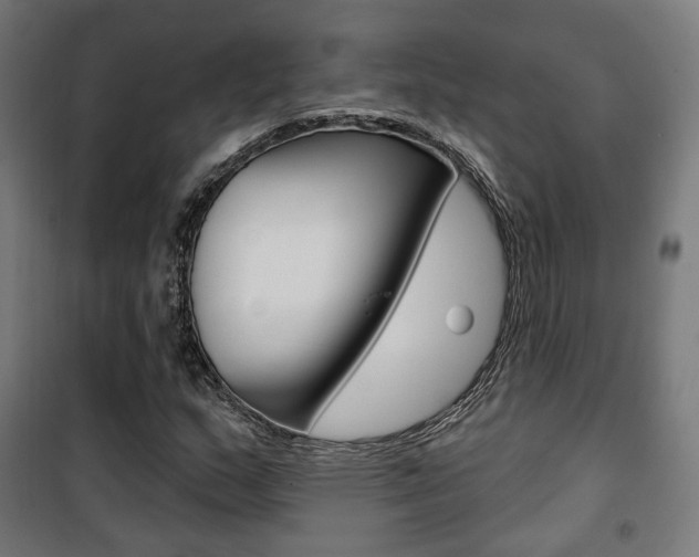 X0000101401159200807071022