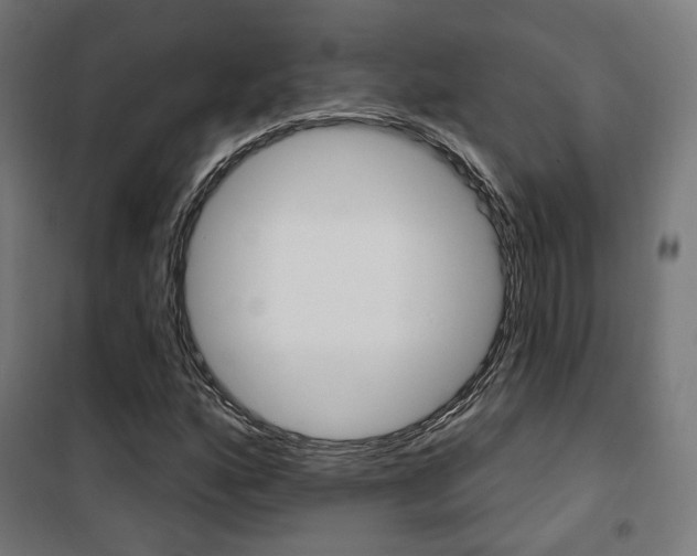 X0000101401160200807071022