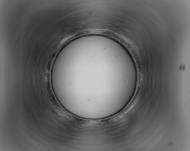 X0000101401161200807071022