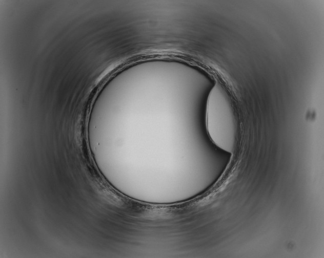 X0000101401162200807071022