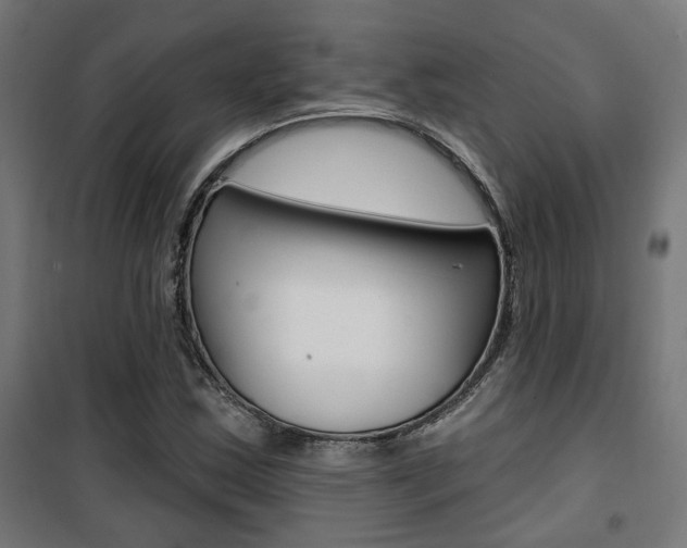 X0000101401163200807071022