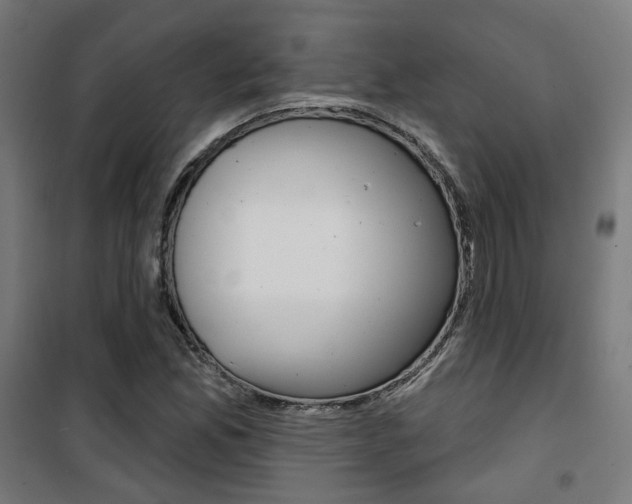 X0000101401165200807071022