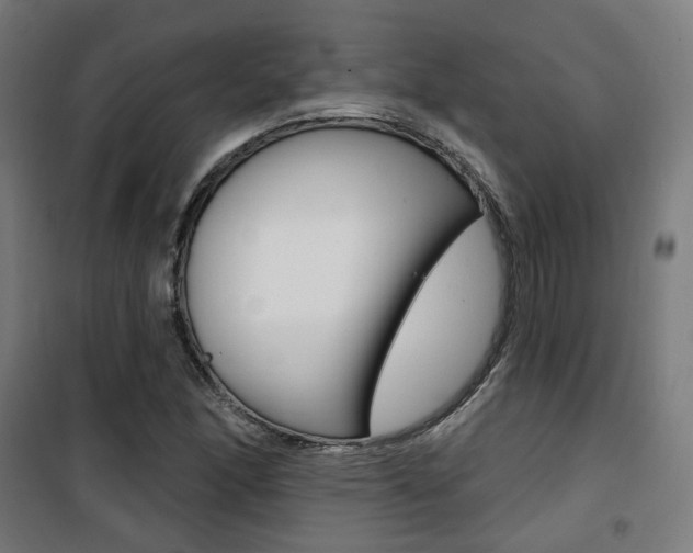 X0000101401166200807071022