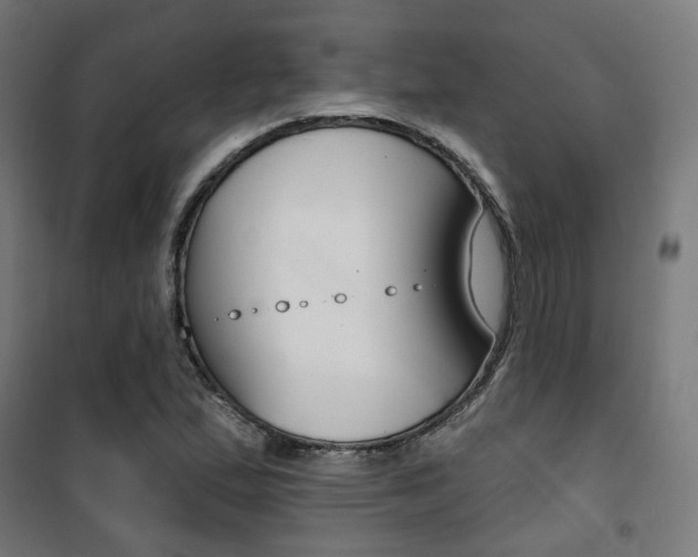 X0000101401167200807071022