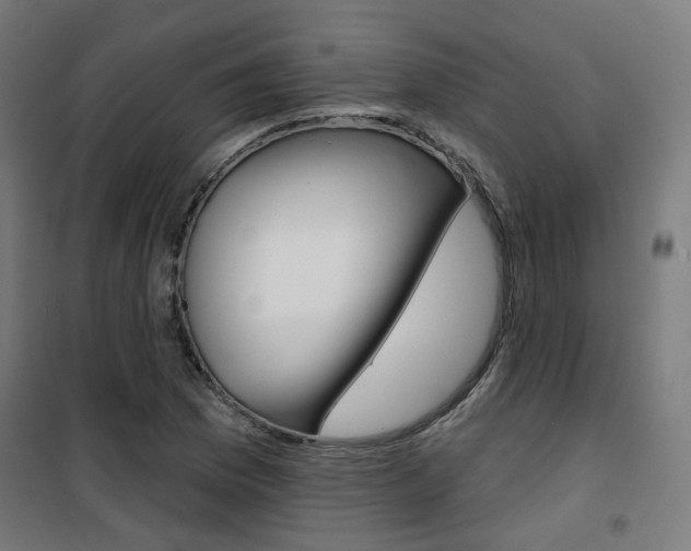 X0000101401169200807071022
