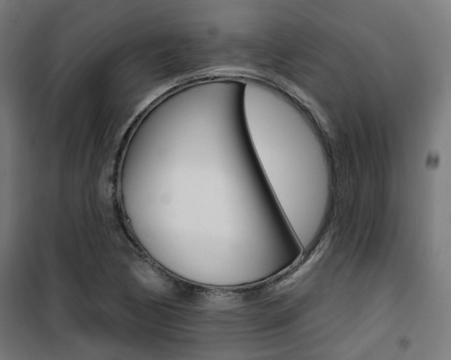 X0000101401170200807071022