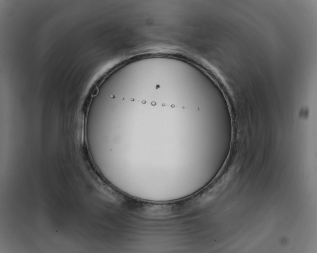 X0000101401171200807071022