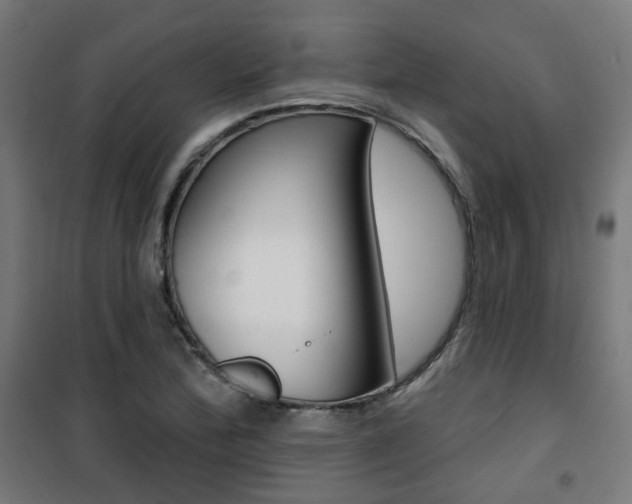 X0000101401172200807071022