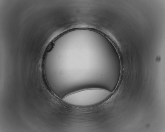 X0000101401173200807071022