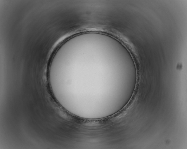 X0000101401174200807071022