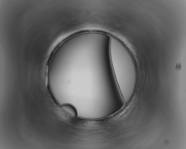 X0000101401175200807071022