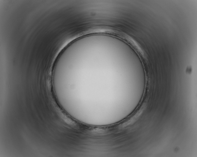 X0000101401178200807071022