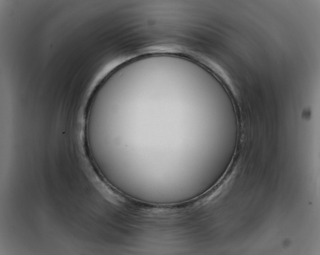 X0000101401179200807071022