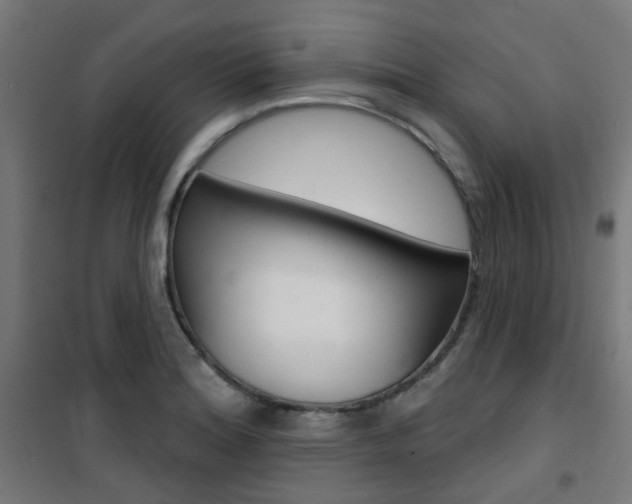 X0000101401180200807071022