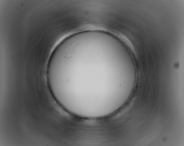 X0000101401182200807071022