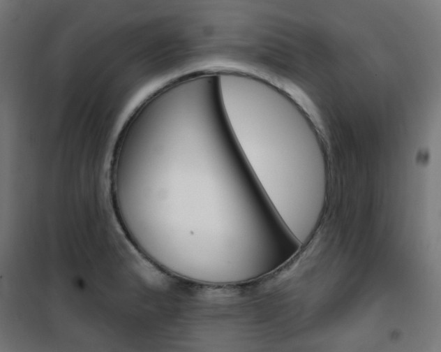 X0000101401183200807071022