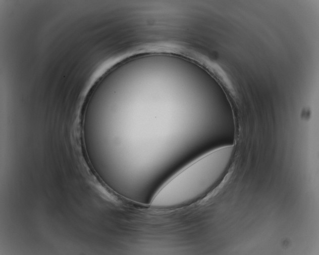 X0000101401184200807071022