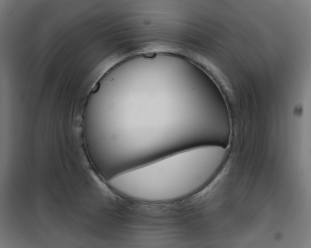 X0000101401185200807071022
