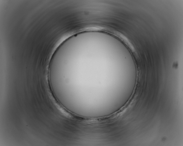 X0000101401186200807071022