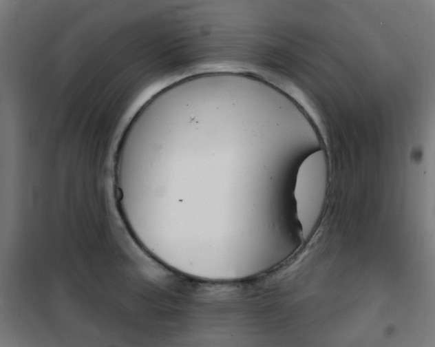 X0000101401187200807071022