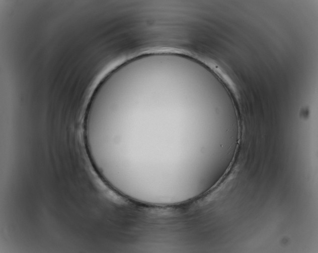 X0000101401189200807071022