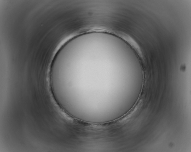 X0000101401190200807071022