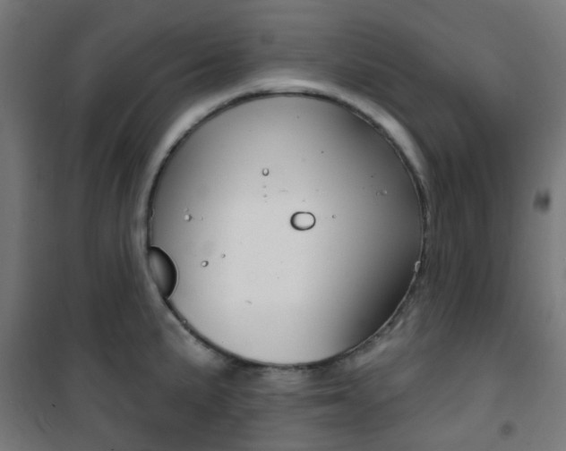 X0000101401191200807071022