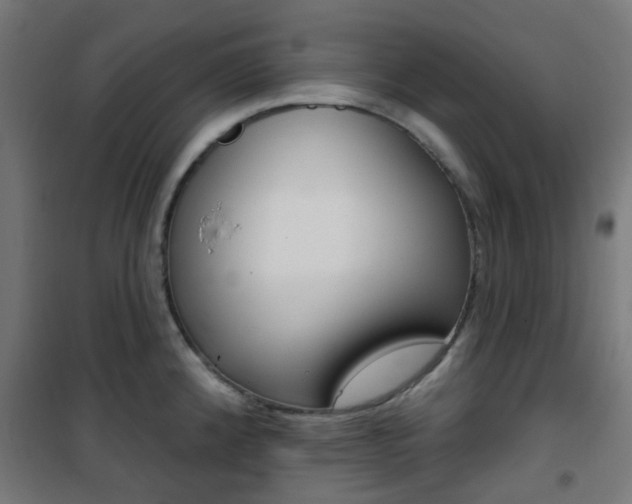 X0000101401192200807071022