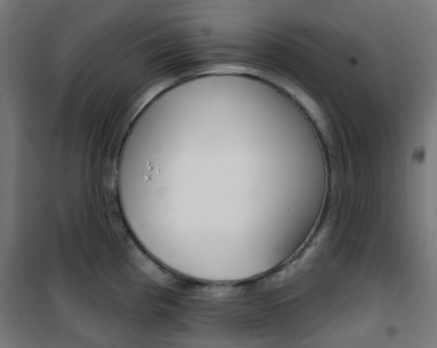 X0000101401193200807071022