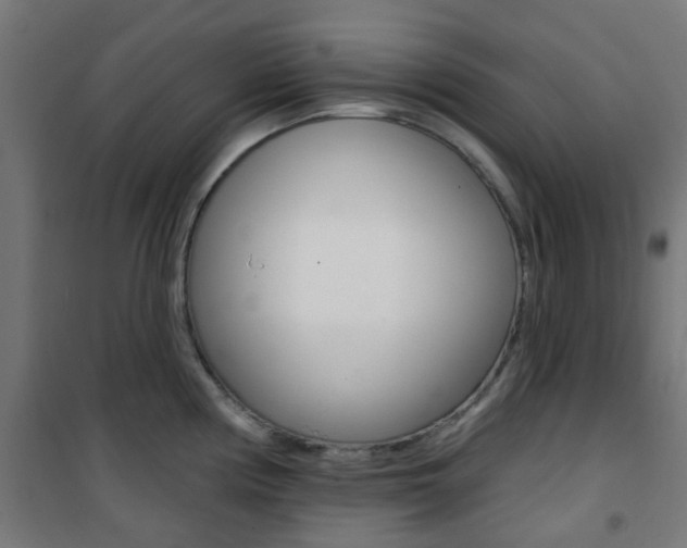 X0000101401194200807071022