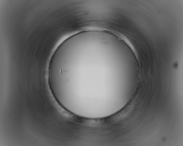 X0000101401195200807071022