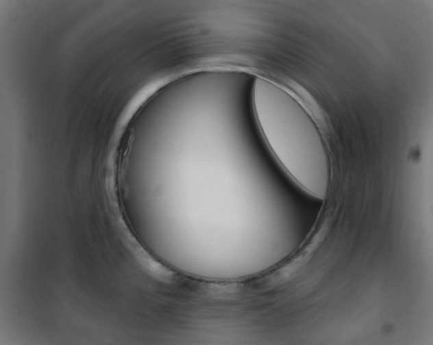X0000101401196200807071022