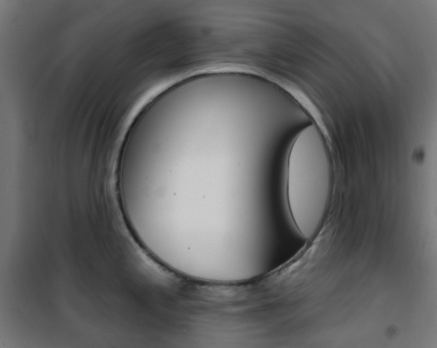X0000101401197200807071022