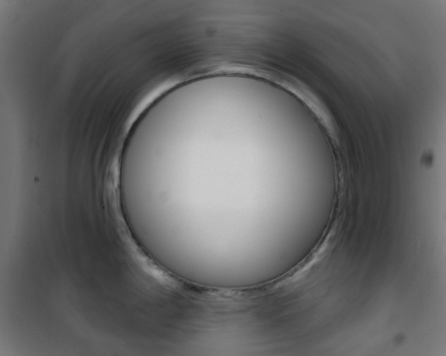 X0000101401198200807071022