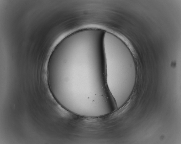 X0000101401199200807071022