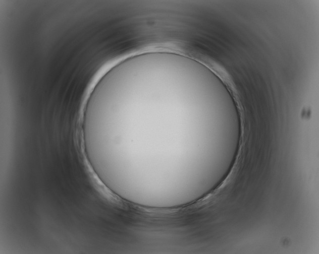 X0000101401200200807071022