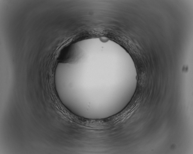 X0000101401201200807071021