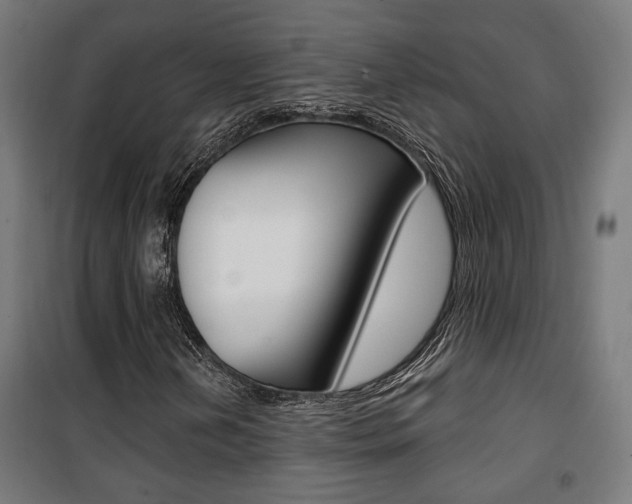 X0000101401202200807071021