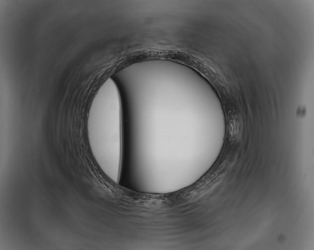 X0000101401204200807071021
