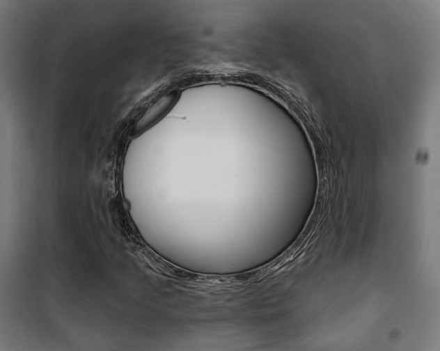 X0000101401205200807071021